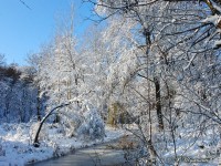 Зимняя речка 