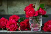 Красные розы в хрустальном стакане