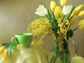 Мимоза и жёлтые тюльпаны в прозрачной азе