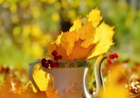 Букет осенних листьев в чайнике