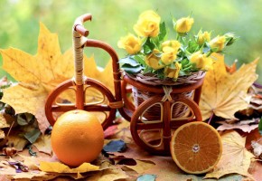 Желтые розы, плошка - велосипед, осенние листья, апельсины