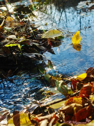 Осенний парус в ручейке