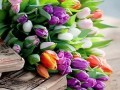 Букет разноцветные тюльпаны