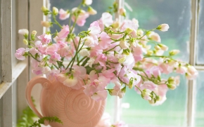 Букет розовых цветов у окна