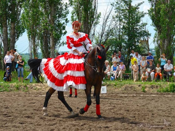 Выездка наездница в красном платье на коне
