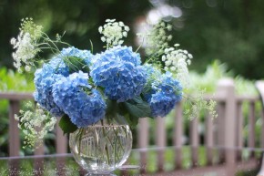 Букет голубых цветов на столе