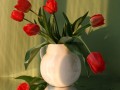 Красные тюльпаны в белой вазе